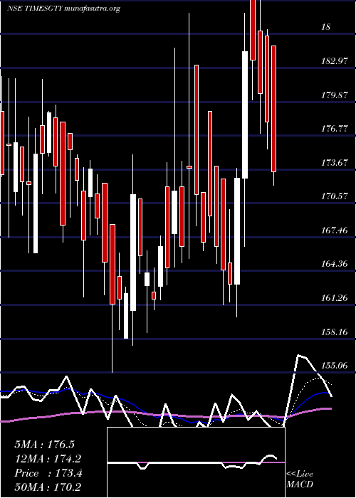  Daily chart TimesGuaranty