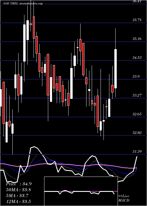  Daily chart TransindiaReal