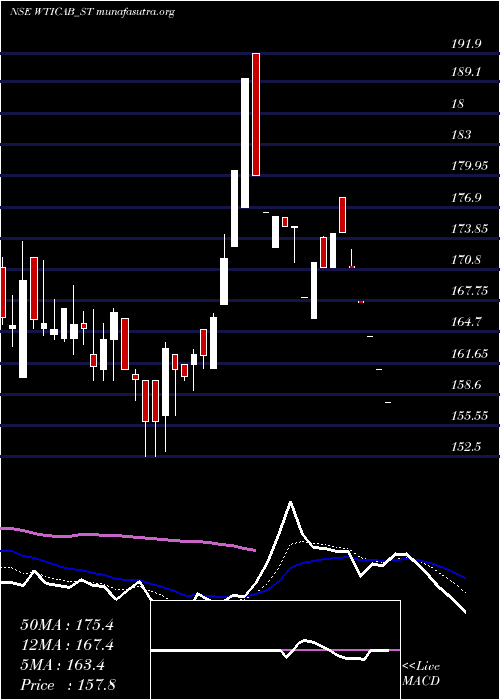  Daily chart WiseTravel