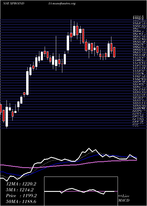  Daily chart XproIndia