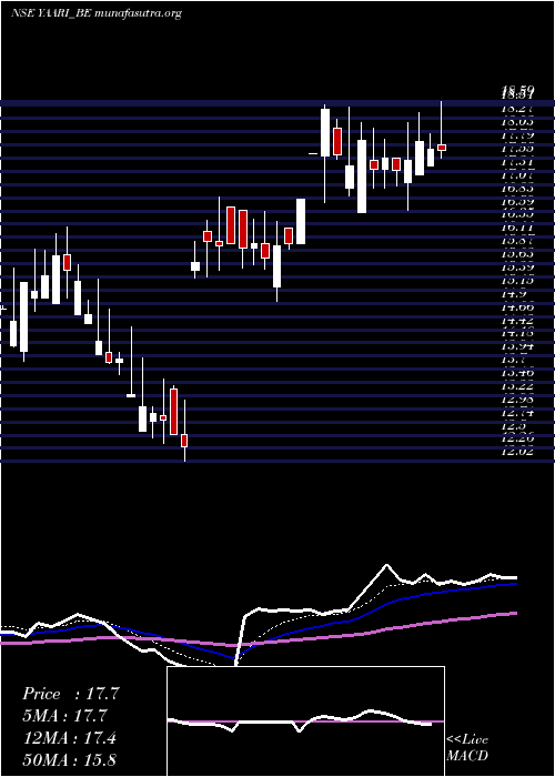  Daily chart YaariDigi