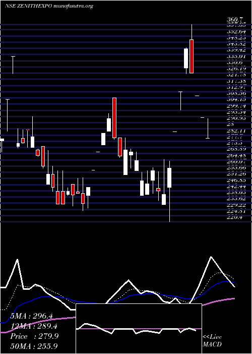  Daily chart ZenithExports