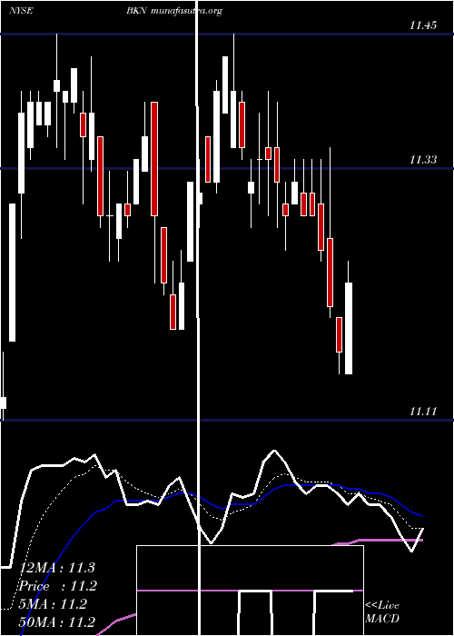  Daily chart BlackrockInvestment