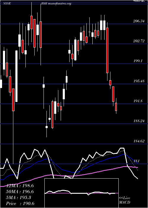  Daily chart BadgerMeter