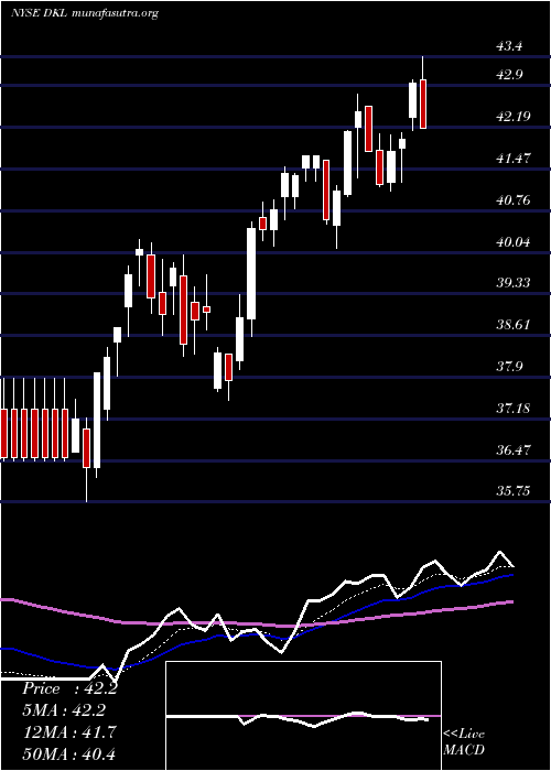  Daily chart DelekLogistics