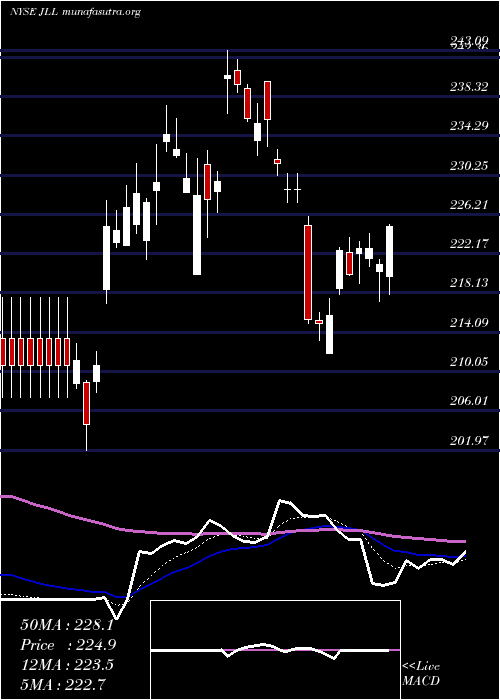  Daily chart JonesLang