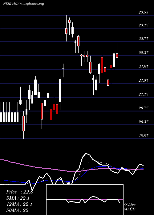  Daily chart MagnoliaOil
