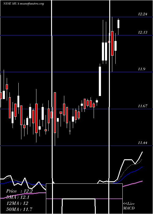  Daily chart BlackrockMuniassets