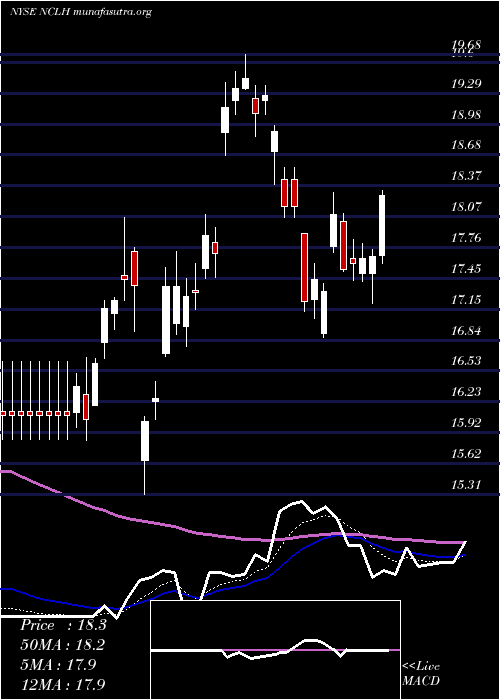  Daily chart NorwegianCruise