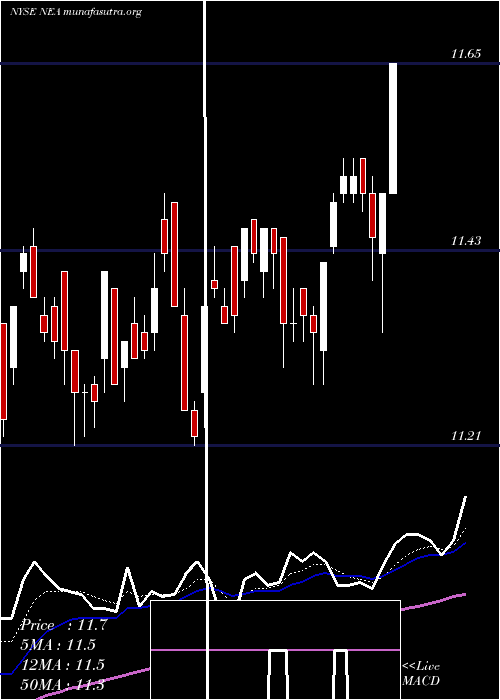  Daily chart NuveenAmt