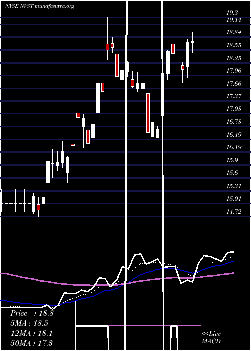  Daily chart EnvistaHoldings