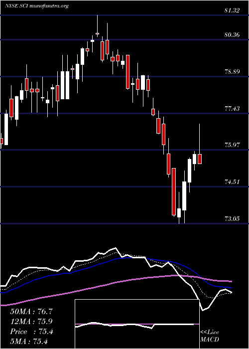  Daily chart ServiceCorporation