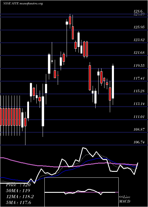  Daily chart SiteoneLandscape