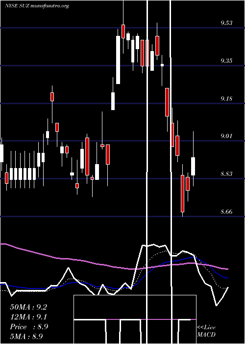  Daily chart SuzanoPapel