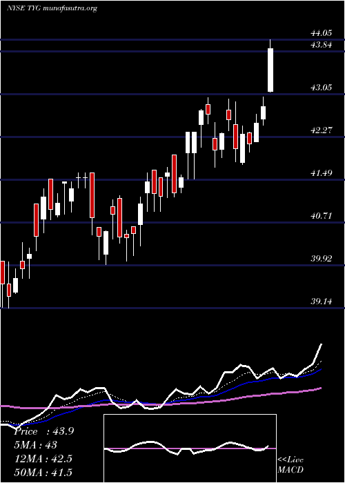  Daily chart TortoiseEnergy