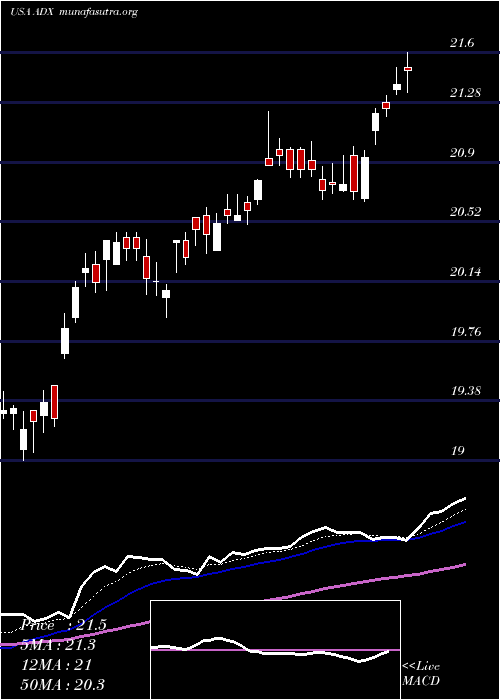  Daily chart AdamsDiversified