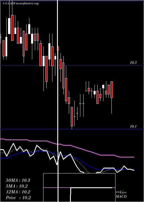  Daily chart AllianceNational