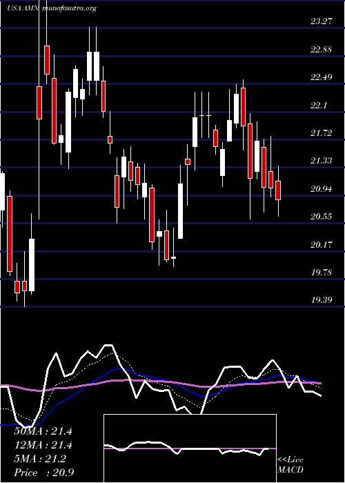  Daily chart AmnHealthcare
