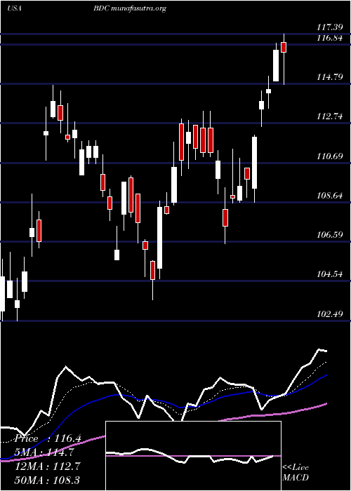  Daily chart BeldenInc