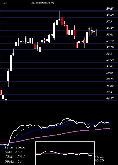  Daily chart BlacklineInc
