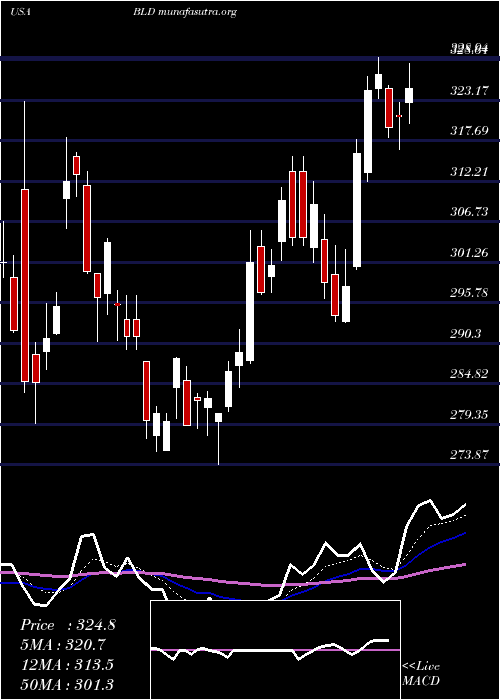  Daily chart TopbuildCorp