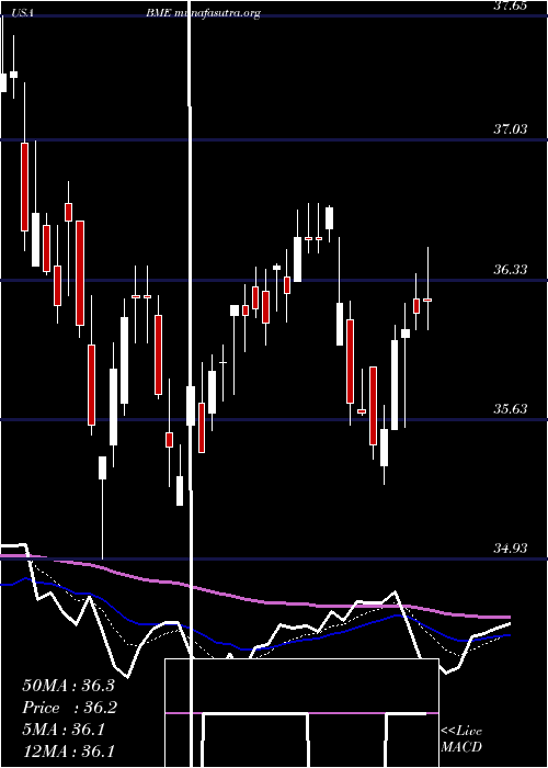  Daily chart BlackrockHealth