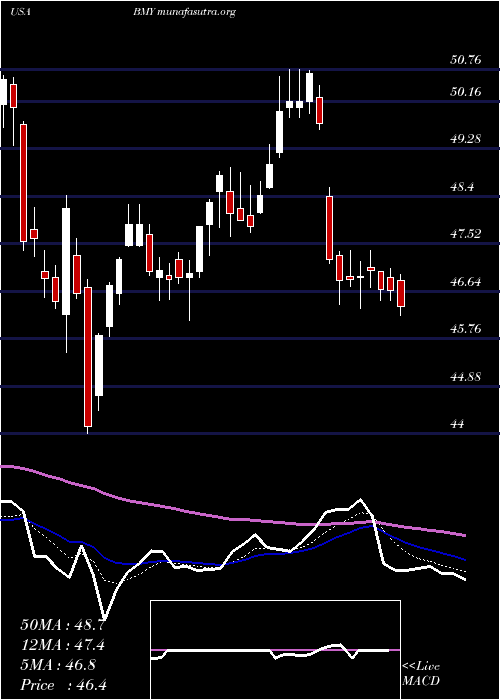  Daily chart BristolMyers