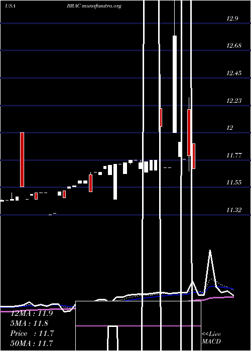  Daily chart BlackRidge