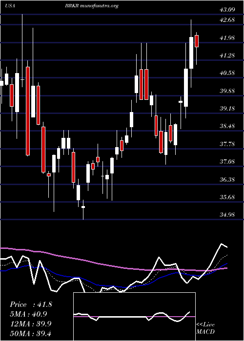  Daily chart BrukerCorporation