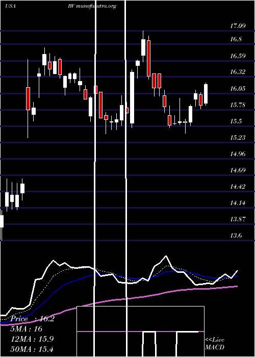  Daily chart BrightviewHoldings