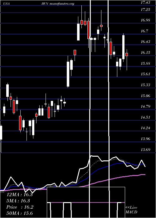  Daily chart BuenaventuraMining