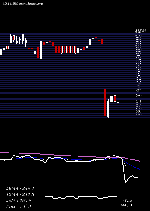  Daily chart CableOne