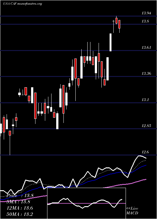  Daily chart MorganStanley