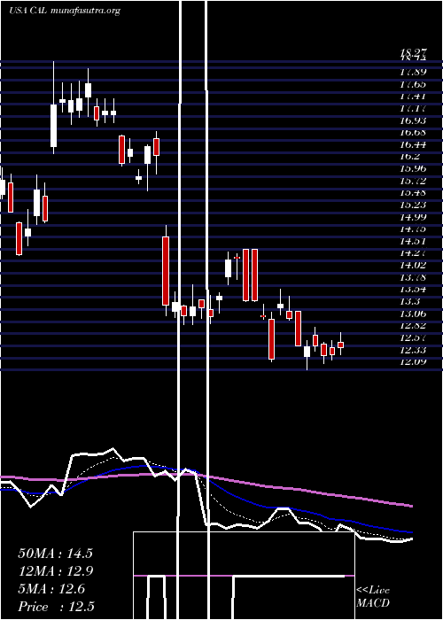 Daily chart CaleresInc