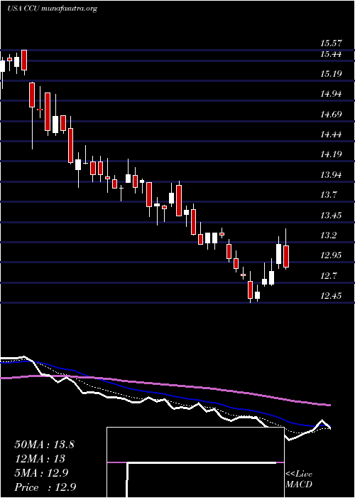  Daily chart CompaniaCervecerias