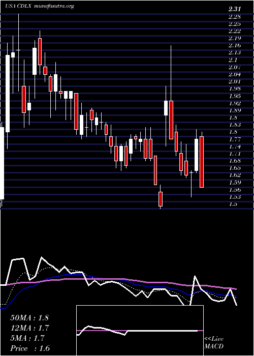  Daily chart CardlyticsInc