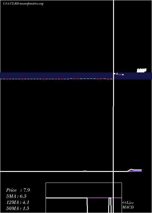  Daily chart CellectarBiosciences