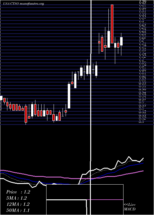  Daily chart CytosorbentsCorporation