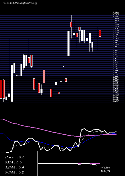  Daily chart CyclacelPharmaceuticals