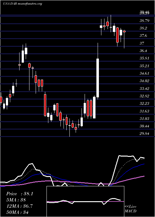  Daily chart DarlingIngredients