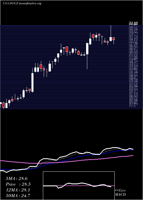  Daily chart DognessInternational