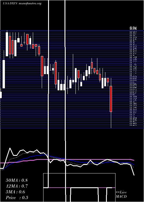  Daily chart DixieGroup