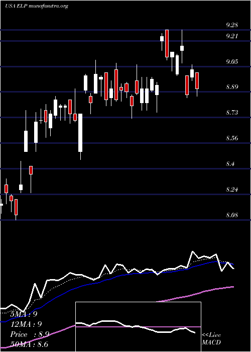  Daily chart CompanhiaParanaense