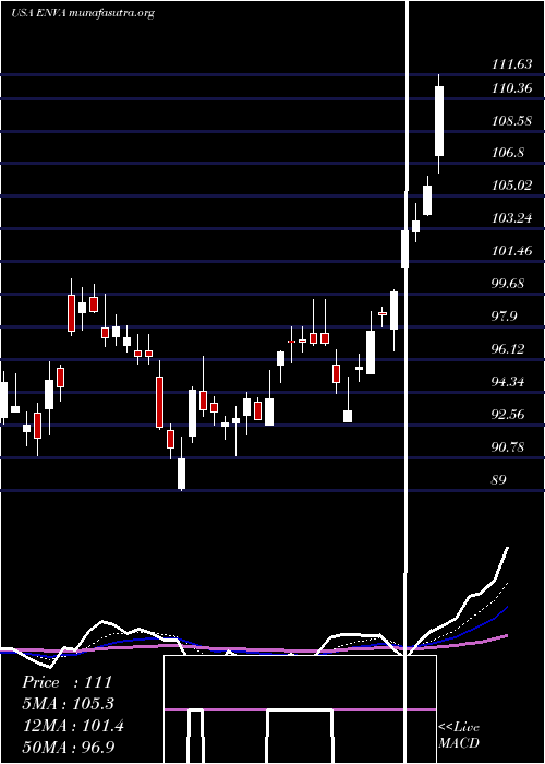  Daily chart EnovaInternational