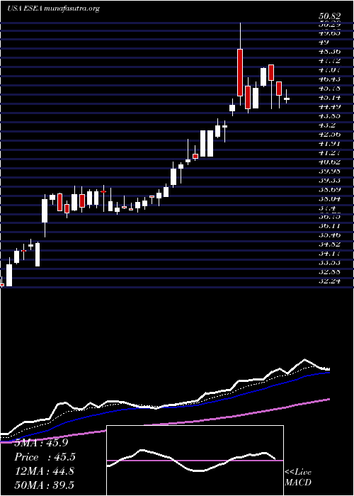  Daily chart Euroseas