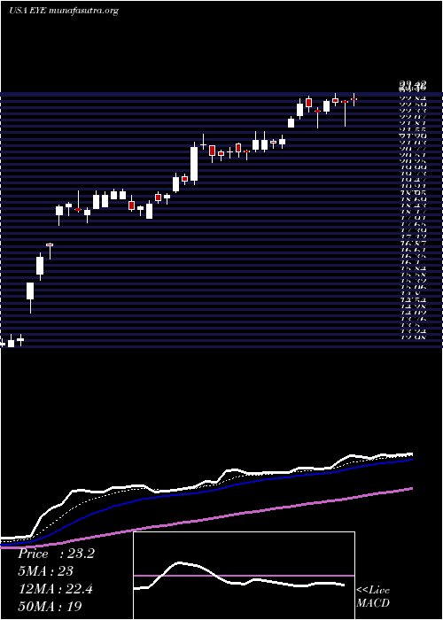  Daily chart NationalVision