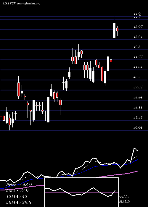  Daily chart FreeportMcmoran