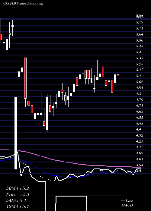  Daily chart 1800