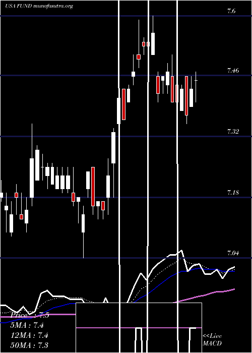  Daily chart SprottFocus