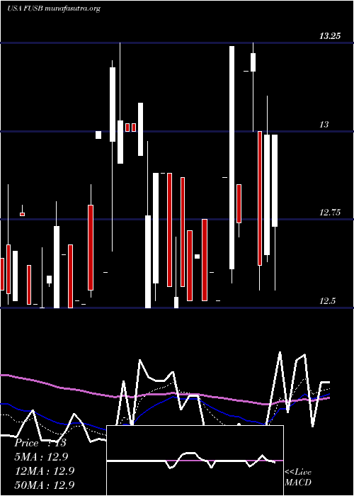  Daily chart FirstUs